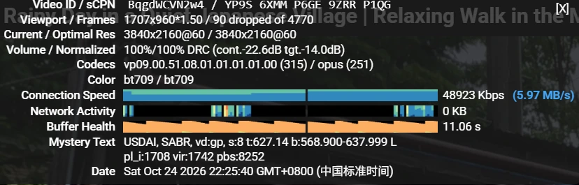 YouTube 电信 高峰期中转